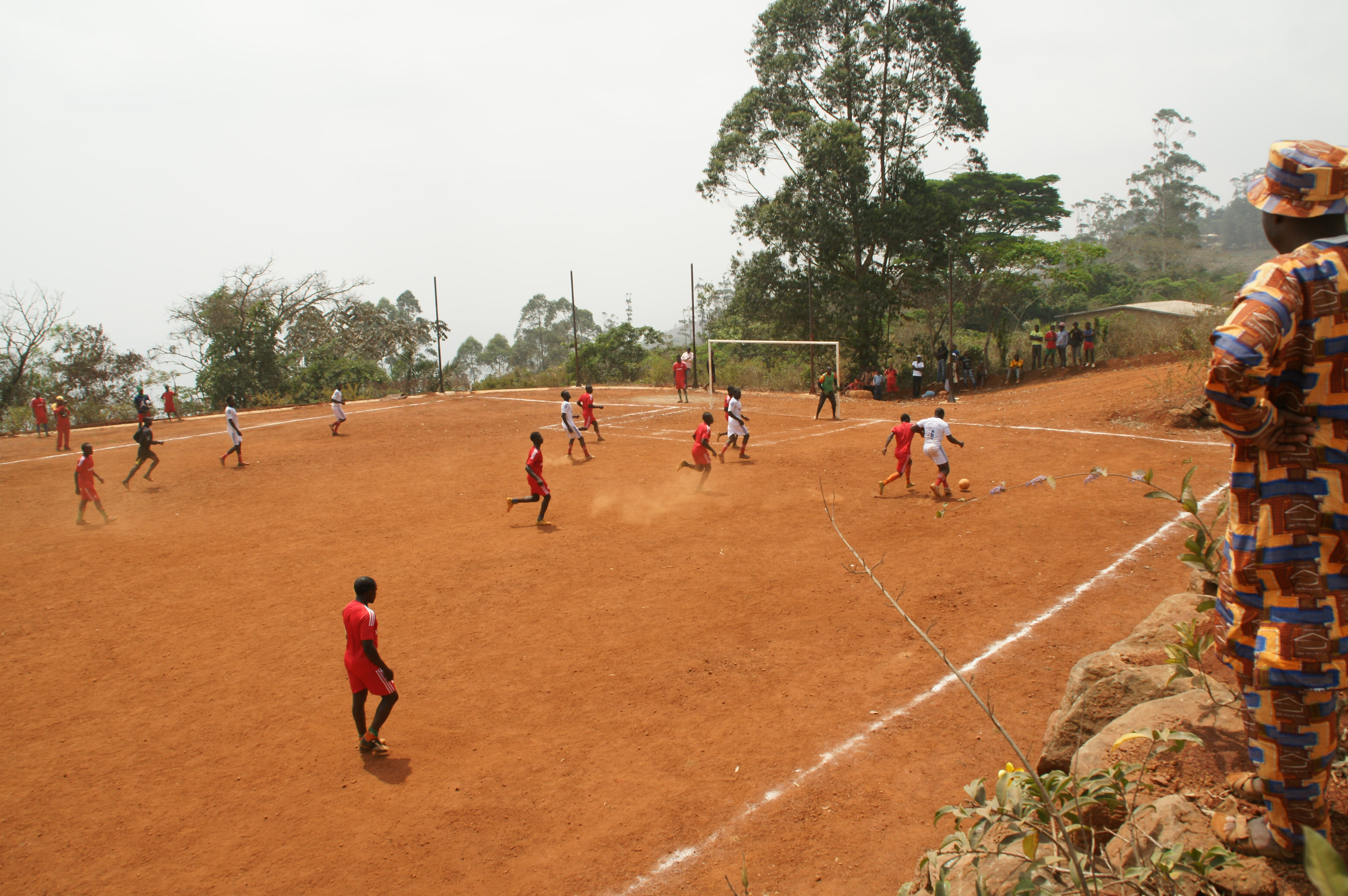 FOOTBALL : Allez les lions !